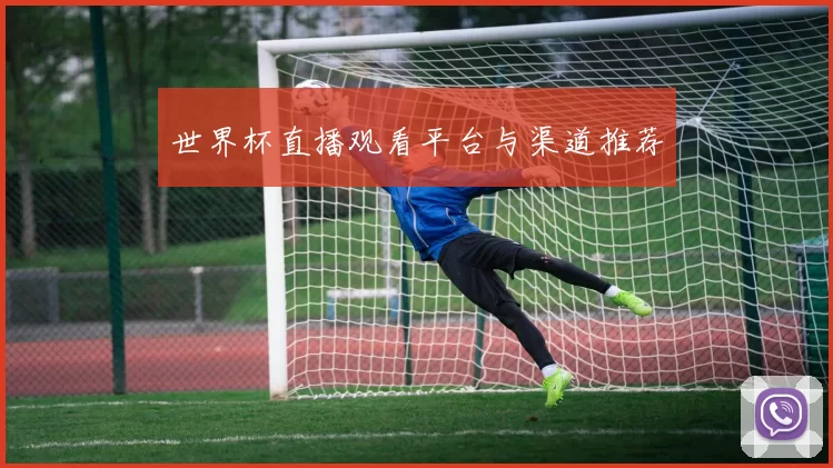 世界杯直播观看平台与渠道推荐