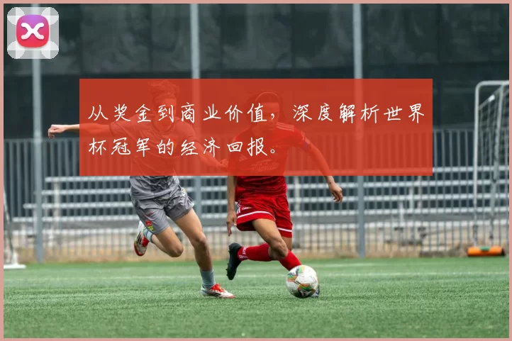 从奖金到商业价值，深度解析世界杯冠军的经济回报。