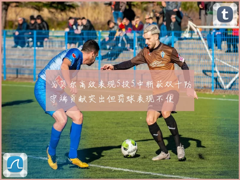 戈贝尔高效表现5投5中斩获双十防守端贡献突出但罚球表现不佳