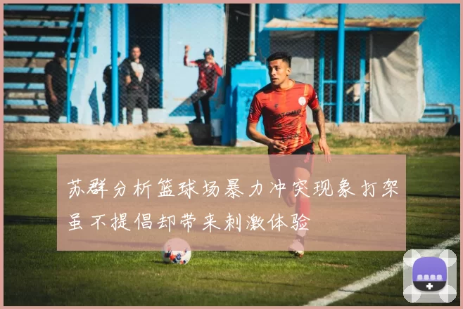 苏群分析篮球场暴力冲突现象打架虽不提倡却带来刺激体验