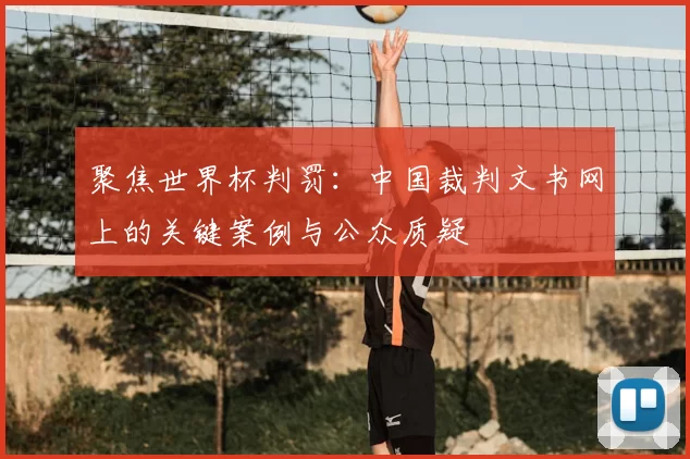 聚焦世界杯判罚:中国裁判文书网上的关键案例与公众质疑