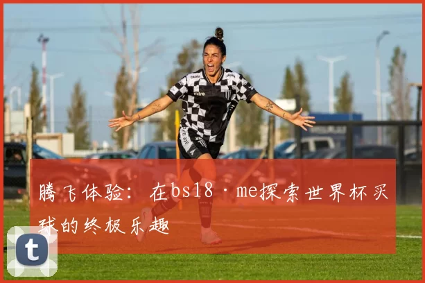腾飞体验:在bs18·me探索世界杯买球的终极乐趣