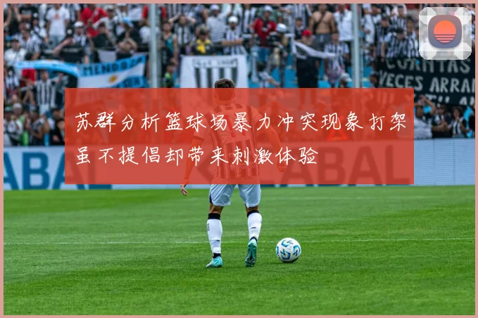 苏群分析篮球场暴力冲突现象打架虽不提倡却带来刺激体验