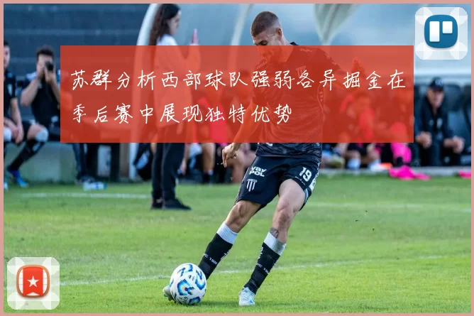 苏群分析西部球队强弱各异掘金在季后赛中展现独特优势