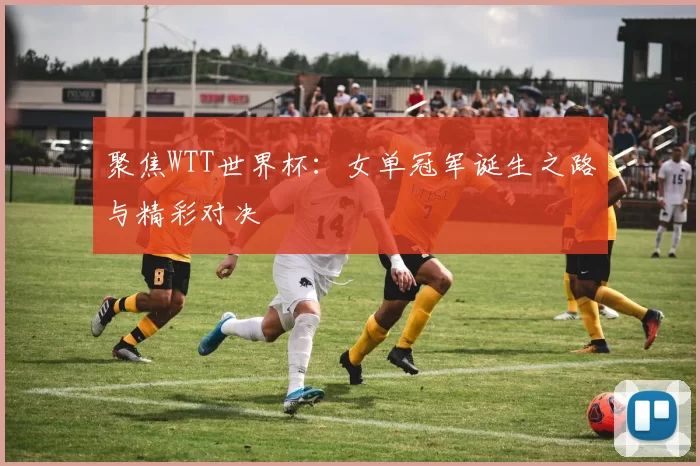 聚焦WTT世界杯:女单冠军诞生之路与精彩对决