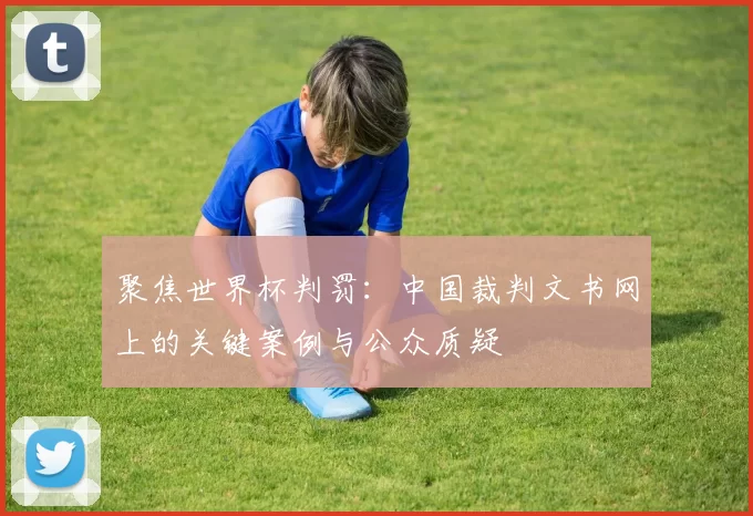 聚焦世界杯判罚:中国裁判文书网上的关键案例与公众质疑