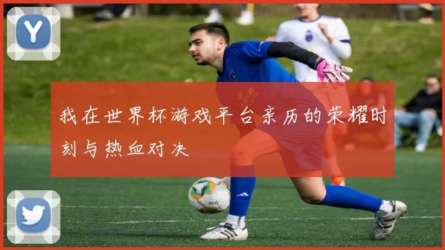 我在世界杯游戏平台亲历的荣耀时刻与热血对决