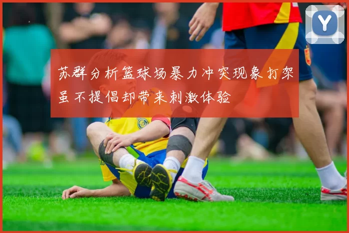 苏群分析篮球场暴力冲突现象打架虽不提倡却带来刺激体验
