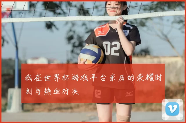 我在世界杯游戏平台亲历的荣耀时刻与热血对决