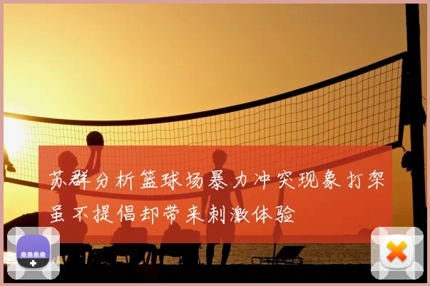 苏群分析篮球场暴力冲突现象打架虽不提倡却带来刺激体验