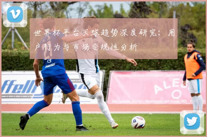世界杯平台买球趋势深度研究:用户行为与市场合规性分析