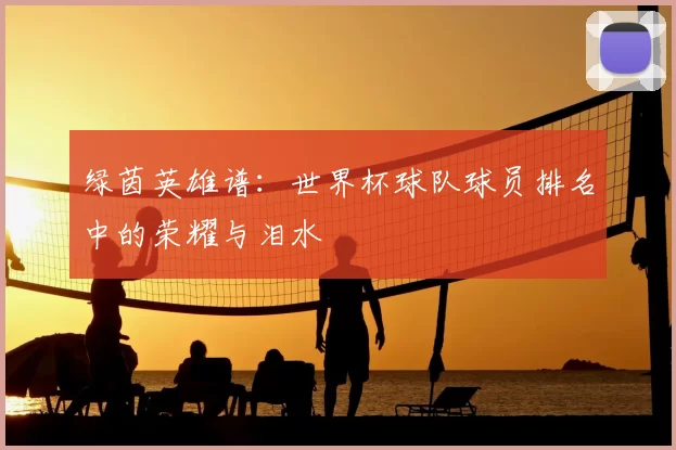 绿茵英雄谱：世界杯球队球员排名中的荣耀与泪水