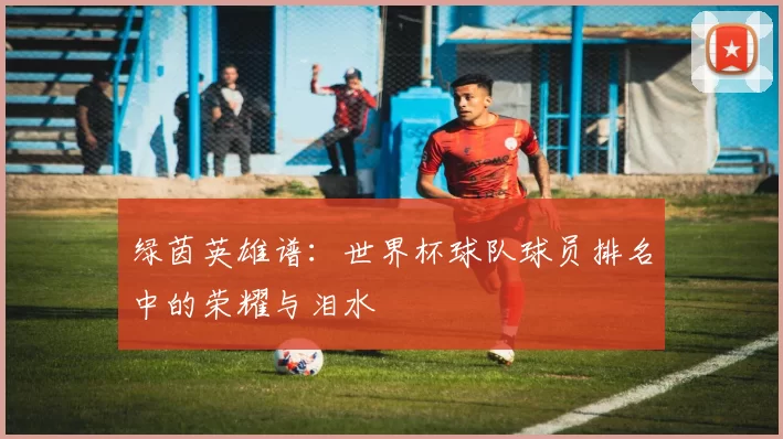 绿茵英雄谱：世界杯球队球员排名中的荣耀与泪水