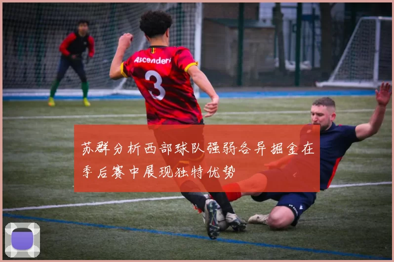 苏群分析西部球队强弱各异掘金在季后赛中展现独特优势